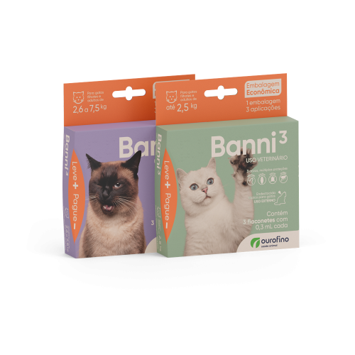 Combo Banni 3 - Todas as apresentações