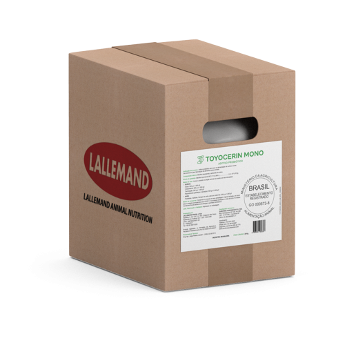 FR_LAllemand Toyocerin