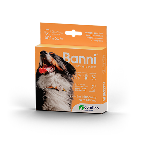 FR-Banni-Laranja--v1