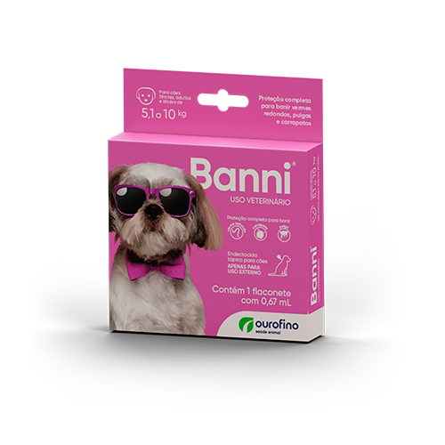 FR-Banni-Roxo-v1