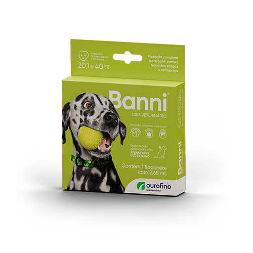 FR-Banni-Verde--v1