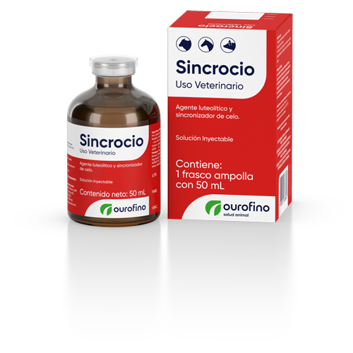 Sincrocio.